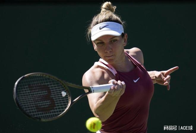 历史的对话 历史的对话